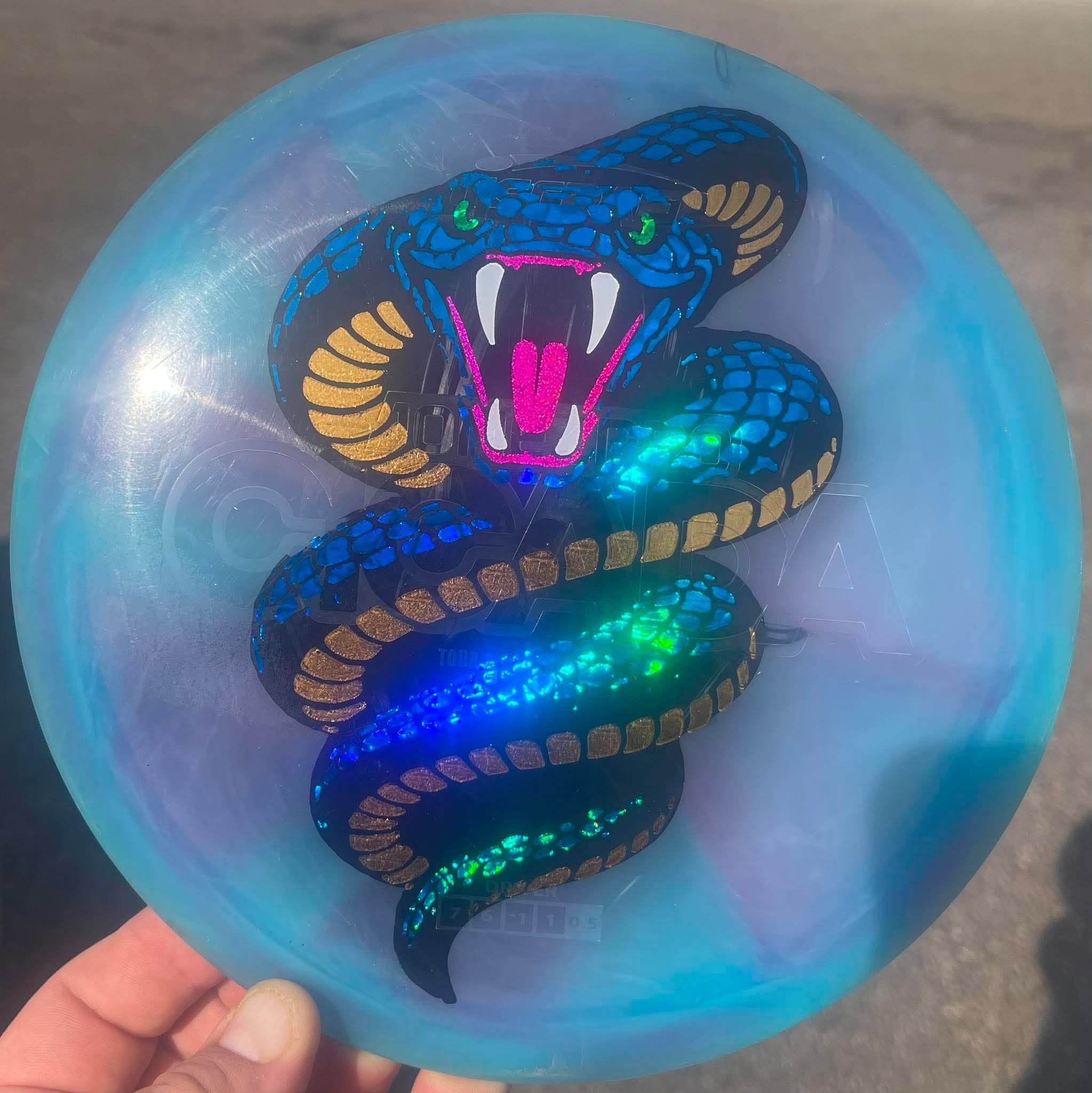 Custom disc work sample 16